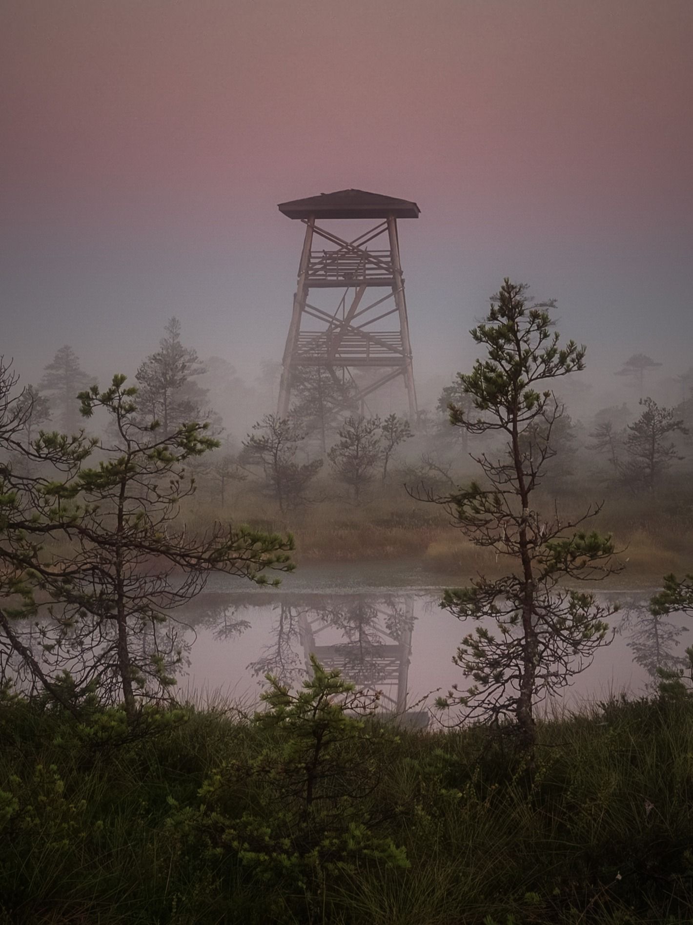 Misty Estonian bog at dusk with a wooden watchtower